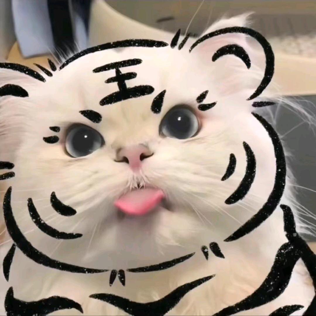 圣地摩坊CATEVE