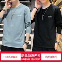 HL955 дымка синяя + HL953 черная