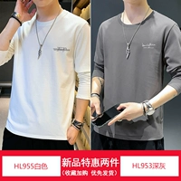 HL955 белый + HL953 темно-серый