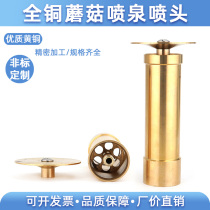 All-copper mushroom fountain nozzle hemisphere water spray landscape fountain head fish pond gardening nozzle nozzle 4 points 6 points