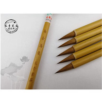 Changqing Pen Zhuang Lei Wuhui is like a dragon Beiwei pure Wolf small running book two kings sacred church