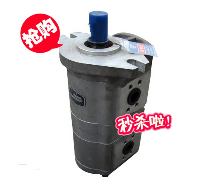 CBQLAF-F532 F 5 2 5-A F SLIP in double-out and double-in-gear oil pumps-Taobao