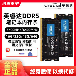 Yingruida DDR5 примечания электро мозг память Корпус 5600/6400 16Г 32Г 48Г 6 4г красивый свет оригинальный фабрика гранула