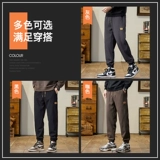 Мужские осенние спортивные универсальные демисезонные штаны для отдыха