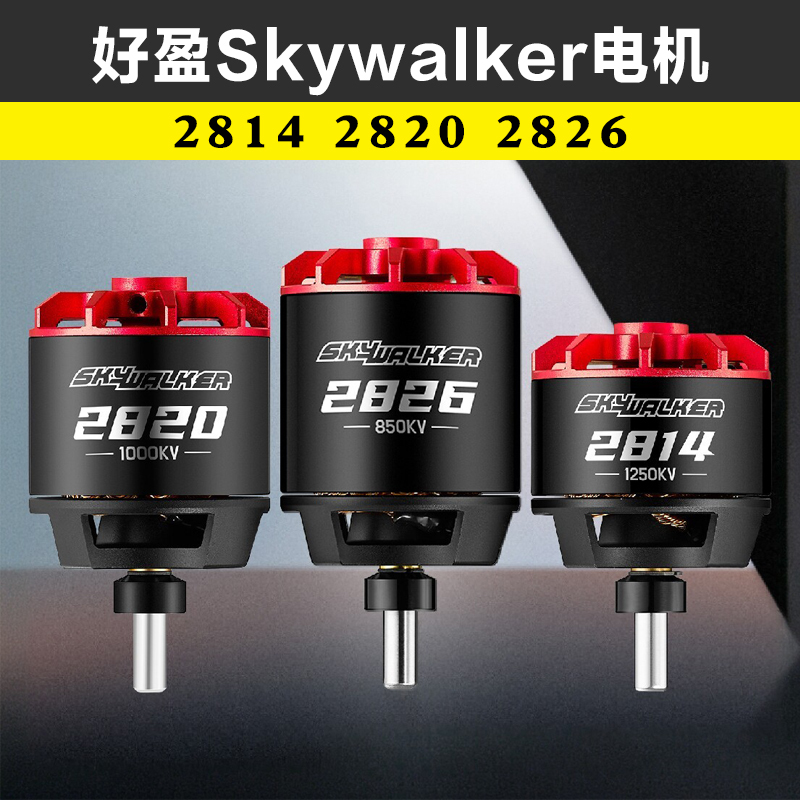 Hobbywing Skywalker 2814 2820 2826 Fixed-Wing Racing Brushless Motor