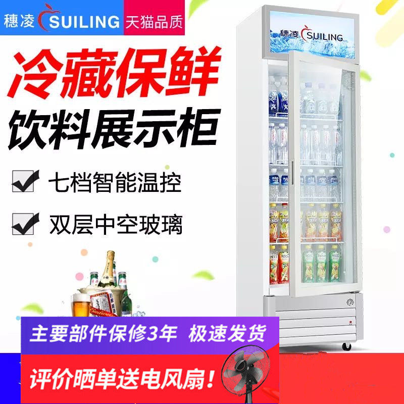 Ear Ling LG4-202L Refrigerated Display Case Freezer Commercial Standing Drinks Cabinet Freezer Crisper Freezer 202 Litres L