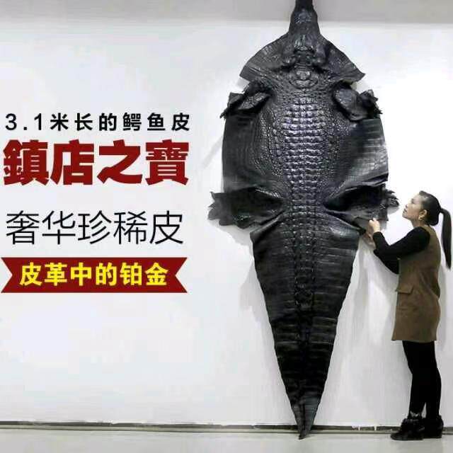 小红皮料的LOGO