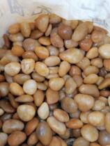 Fine throwing yellow pebbles Courtyard paving Natural rain stones Fish tank decorative small stones