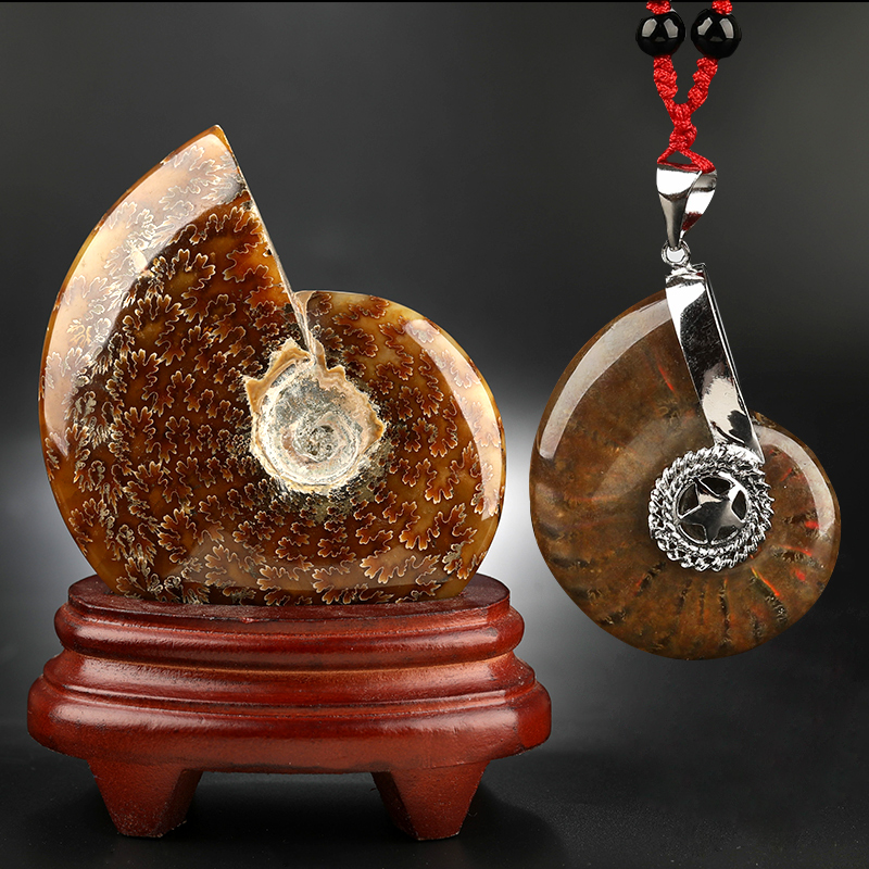 Spotted Snail Pendant Spotted with Colored Stone New swing piece Li Guoming jade Fossil Canada Spirolized Jade Kikuishi Original Stone Gift