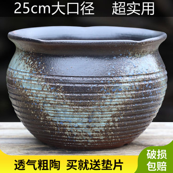 Increase the diameter and deepen the pottery pot with green plants and succulent platter