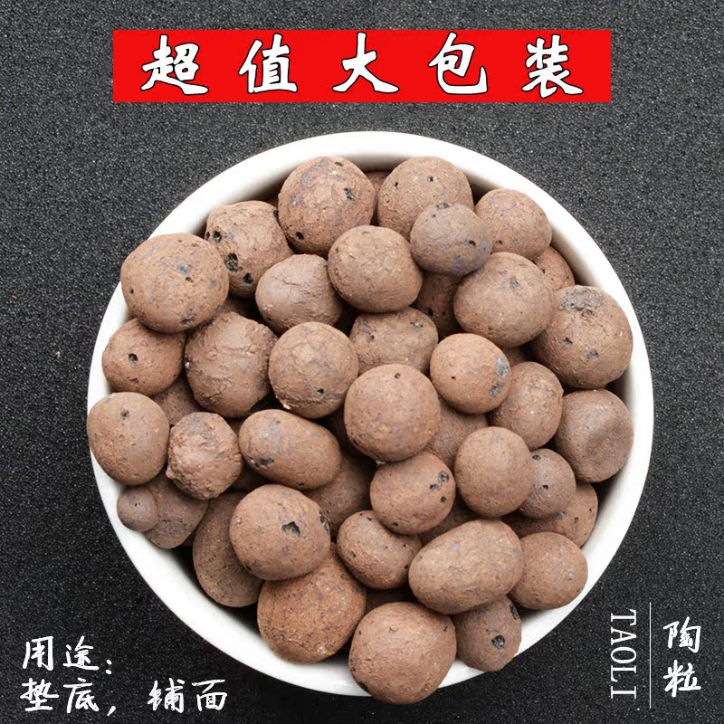 Cây mọng nước im lặng đặc biệt ceramsite hoa trung bình chậu đáy đệm dinh dưỡng đất làm vườn cung cấp không phải là đất thịt bộ dây và vòi xịt tăng áp lực nước
