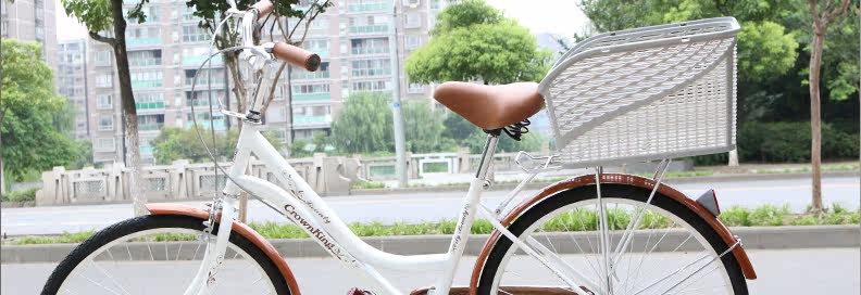 Panier pour vélo LANDON en plastique - Ref 2257265 Image 33