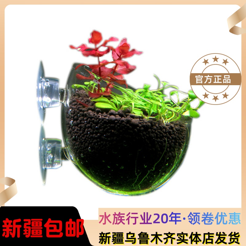 Fish tank aquarium breeders View Basin Cylinders Internal type Grass cup Planted glass Watergrass View Basin Xinjiang