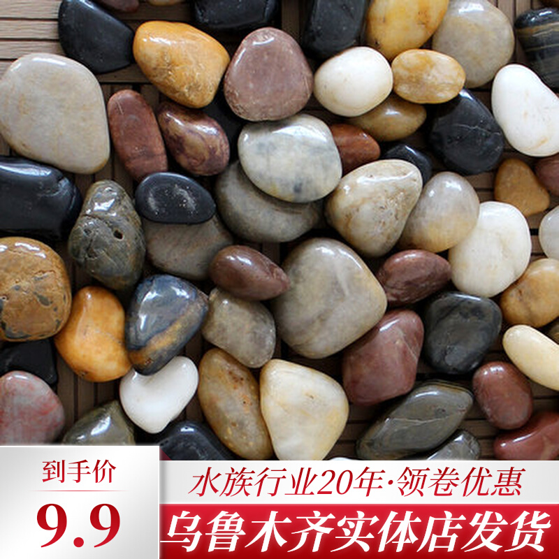 Cobblestone Rain Flower Stone original multimeat paved with small pebble fish tank Flower Pots Goose Soft Patio Decorated Gardening 5 Colorful Stones