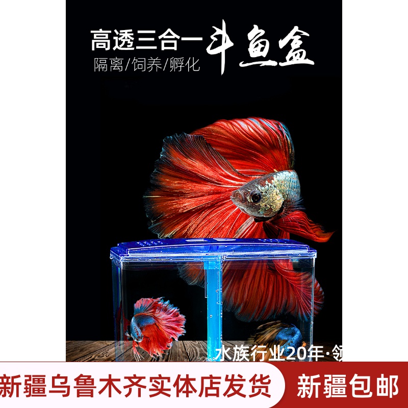 Separate box hatch box viewing juvenile peacock pit outside independent breeding acrylic suspension