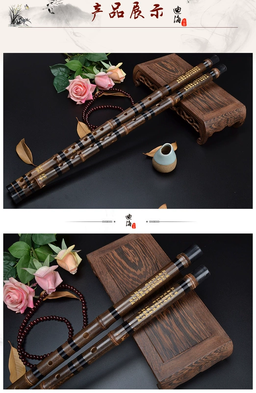 Dihai Zizhu chuyên nghiệp chơi toàn bộ sáo tinh luyện dành cho người lớn lớp 0 cơ bản trẻ em sáo mới bắt đầu nhạc cụ dân tộc đàn cổ cầm