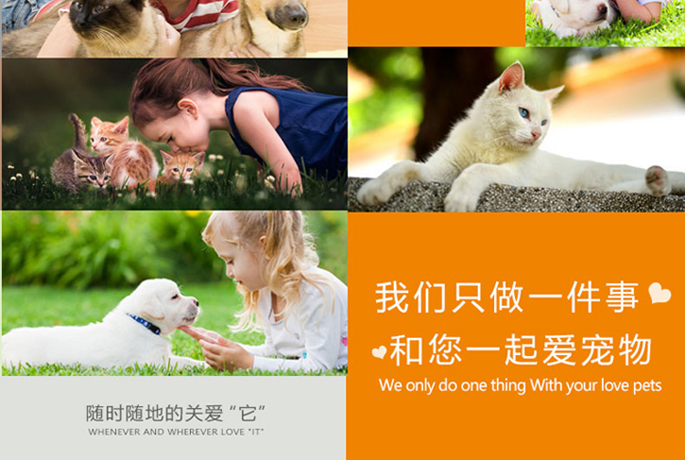 Mèo Yahe bánh quy mèo với cá nhỏ mèo ăn nhẹ Cá nhỏ mèo khô răng hàm sạch răng gà cá hồi mèo ăn nhẹ minino 1.3 kg