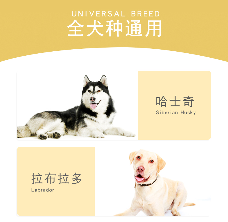 Thức ăn cho chó loại chung 40 kg chó lớn Golden Retriever Husky chó nhỏ chó con Teddy chó trưởng thành đôi chó chính thức ăn - Chó Staples thức ăn cho chó ganador