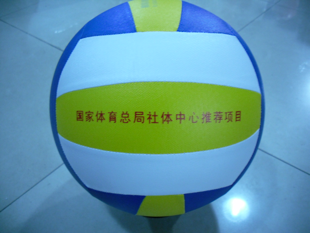 Ballon de volley-ball - Ref 2012694 Image 5
