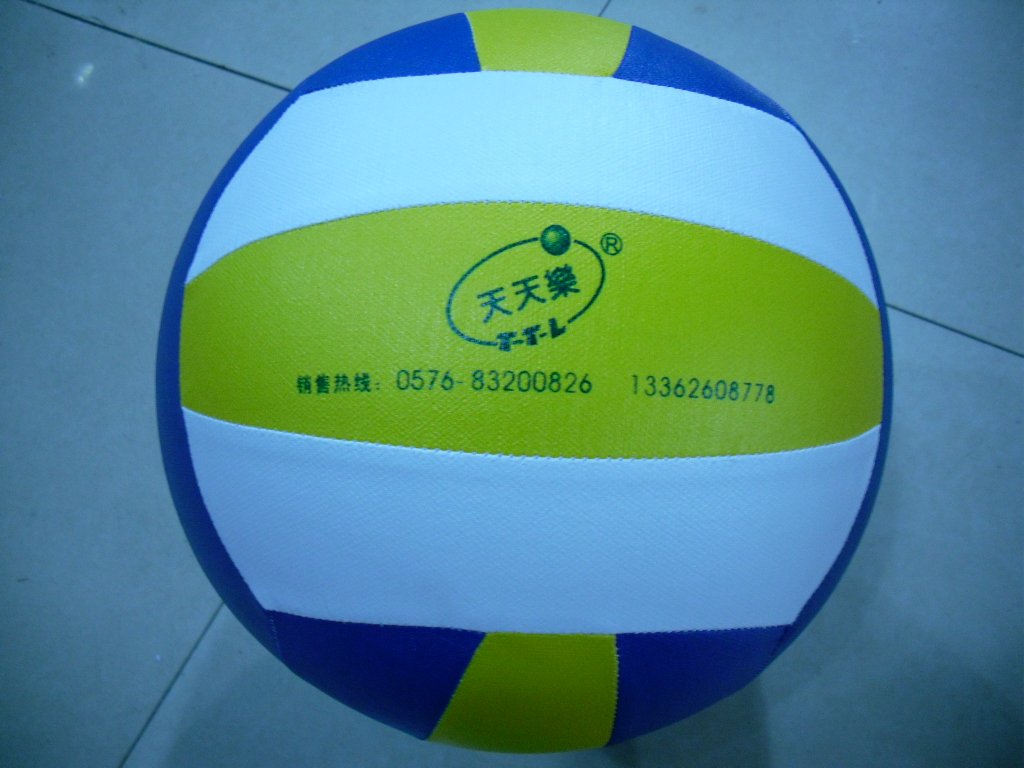 Ballon de volley-ball - Ref 2012694 Image 4