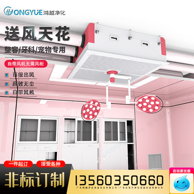Cosmetic Operating Room Laminar Air Blast Ceiling Laminar flow hood dental pet operating room 100 Class clean air supply Medical-Taobao
