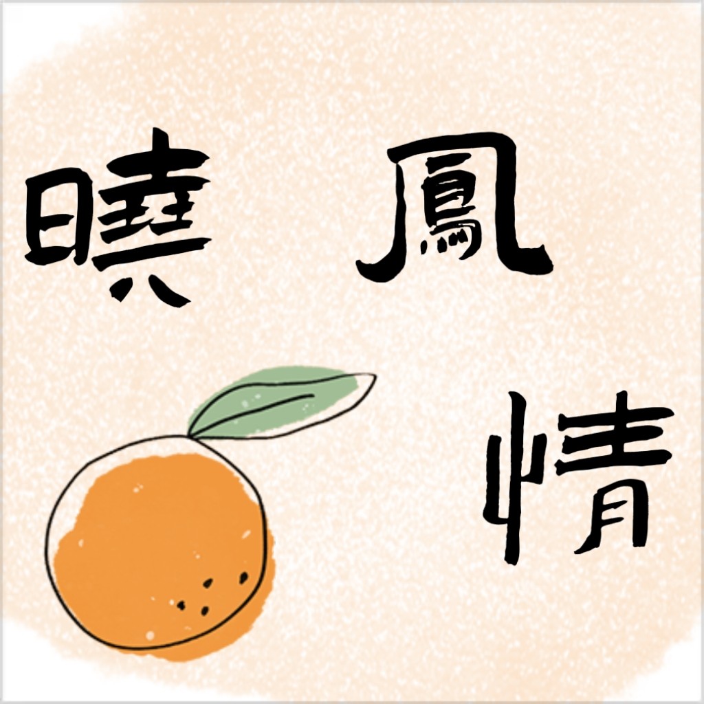 晓凤情轻奢品牌折扣