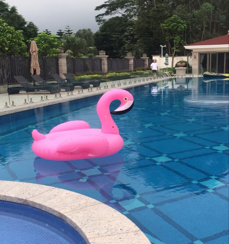 Bơm hơi kỳ lân gắn kết siêu flamingo bơi vòng bột thiên nga nước lớn người lớn nổi giường ngồi có thể ngả hàng bơi vòng phao bơi chống lật