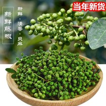 Sichuan fresh green pepper 700g hemp pepper vine pepper rattan pepper special fragrant special hemp 50g multi-specification raw pepper fresh wet pepper