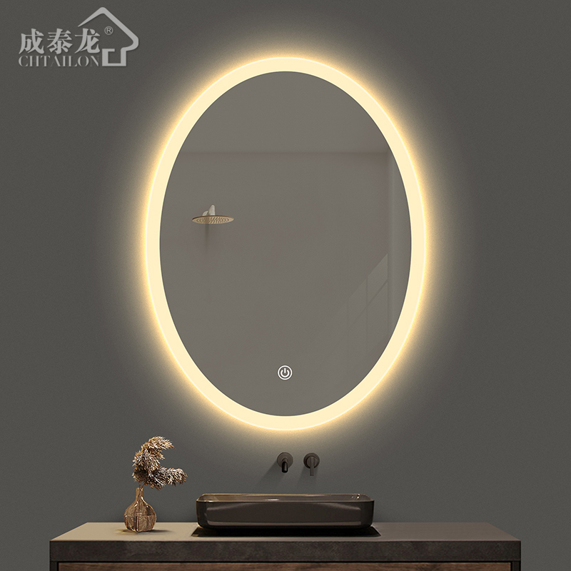 Smart bathroom mirror led oval touch screen with light toilet toilet wall mirror toilet makeup mirror