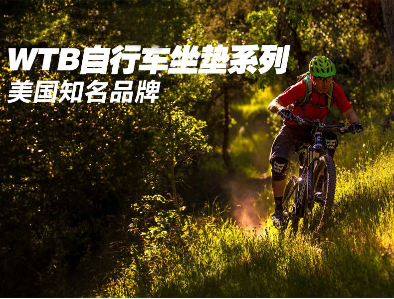 Selle de vélo Mountain Bike - Ref 2346170 Image 7