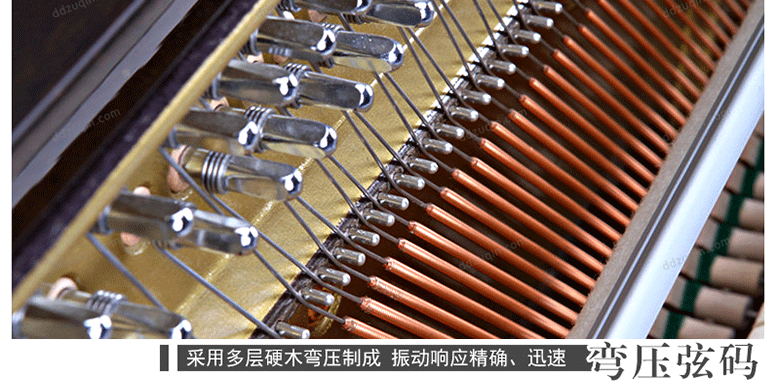 Đinh Đinh Qinqin Bắc Kinh Thượng Hải Thiên Tân Hàng Châu Cho thuê đàn piano thẳng mới cho thuê đàn piano Xinghai XU-123C - dương cầm piano pc