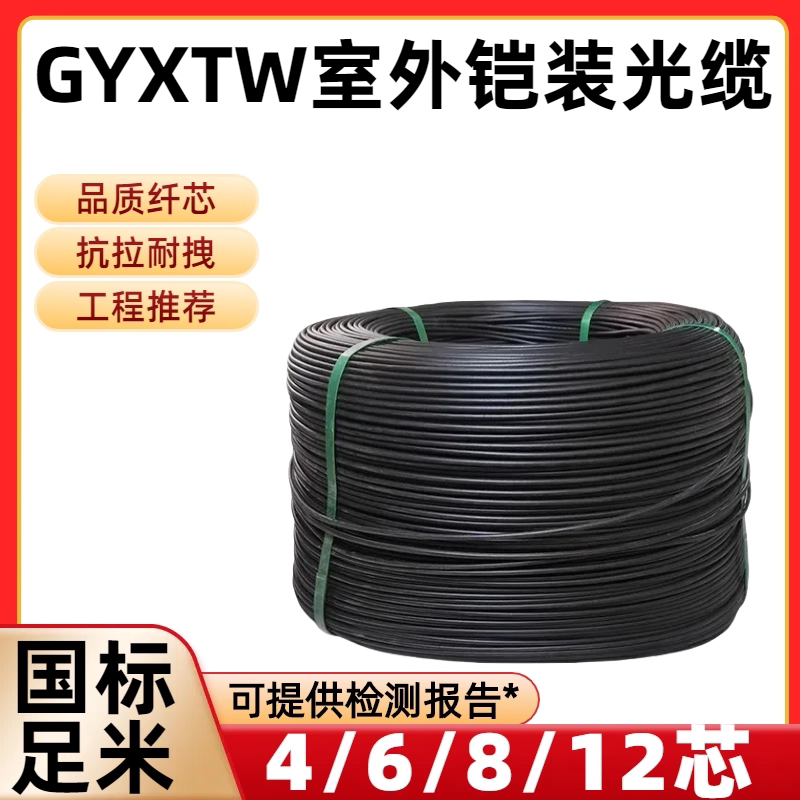 1000m National Standard Optical Cable 4-Core 6-Core 8-Core 12-Core Communication Optical Cable Gyxtw Armored Outdoor Optical Cable Fiber Optic Line