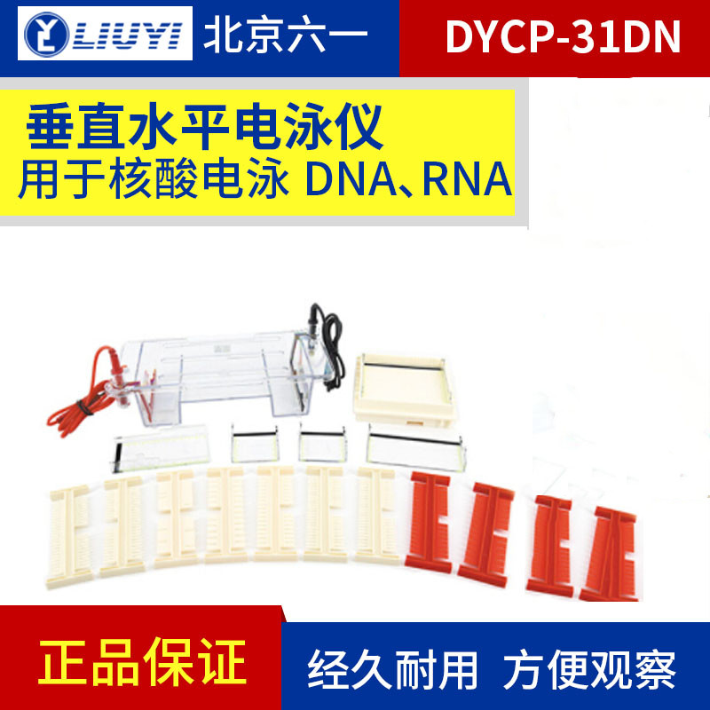 北京六一 DYCP-31DN型琼脂糖水平电泳仪注塑核酸电泳实验室电泳槽