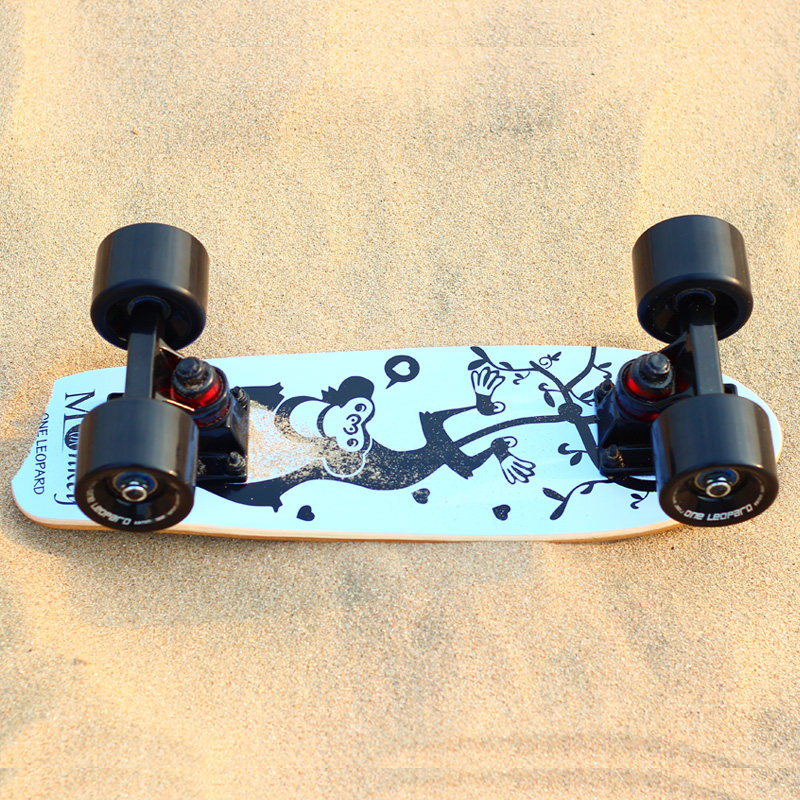 Skateboard pour homme femme enfant - Ref 2595582 Image 23
