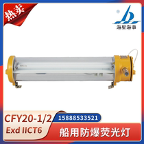 Starfish marine explosion-proof fluorescent lamp CFY20-2E 2L 2EL stainless steel tubular fluorescent LED lamp CFY40-2