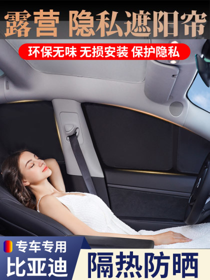 BYD TANG YUAN SONG PLUS QIN L XIA SEAGULL DOLPHIN HAN SEAL 06/07 SEA LION FRIGE