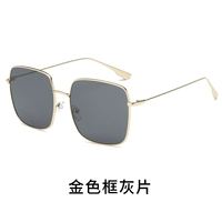 Golden Frame Grey Film [не -поляризованная модель]