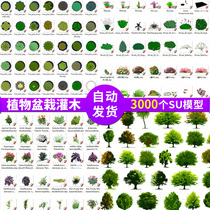 Garden plants potted hand-painted flat 2D 3D components sketchup grass master material SU model