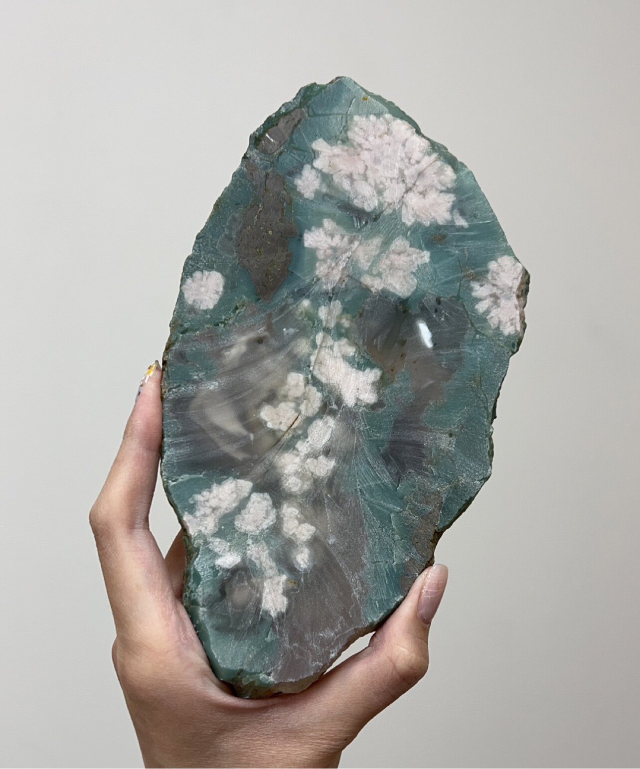 Rabbit Cherry Blossom Planet Live Streaming Payment Only Take No-Taobao