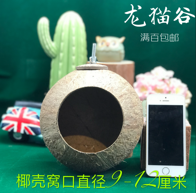 Dragon cat coconut shell casually in and out of diameter 9 to 12 cm Anti-bite durable good cleaning full 100