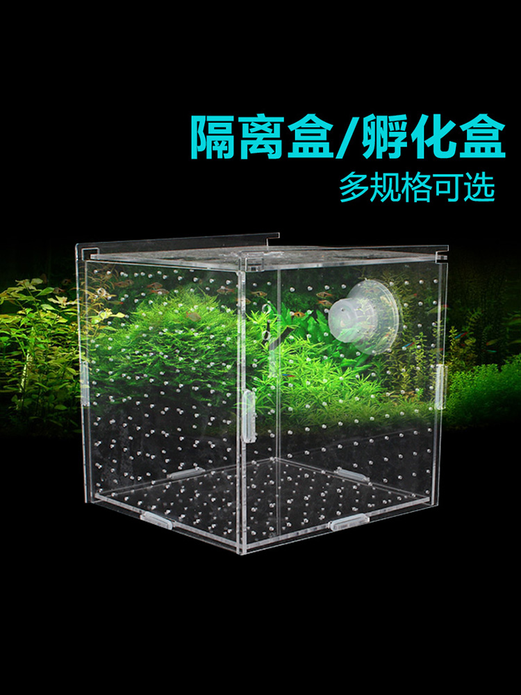 Isolation box Single and double multi-grid isolation net Acrylic fish tank transparent aquarium small fry incubator breeding box production box