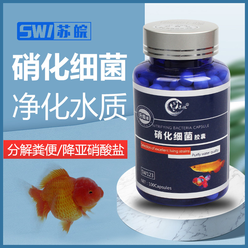 苏皖硝化细菌胶囊鱼缸用净水剂浓缩干粉消化细菌水族养鱼硝化细菌