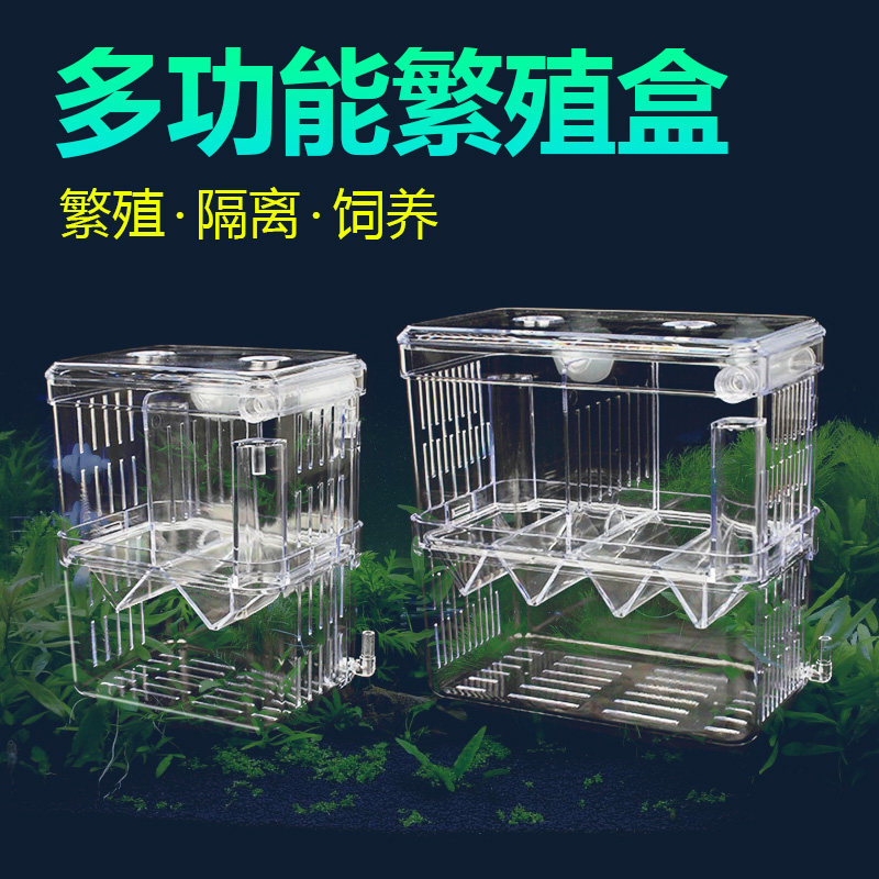 Fish tank isolation box peacock fish breeding box tropical fish small fish hatchery size juvenile hatcher spawning room