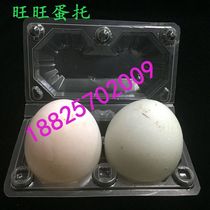 Manufacturers spot direct selling two plastic plastic egg box plastic 2 egg box transparent box