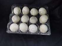 The manufacturer direct sales of 6 12 goose egg Torohango special fruit plastic packaging box plastic egg tray