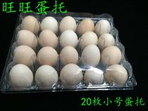 Direct selling egg holder 20 small egg suction box green shell egg packaging box Herb egg transparent tray