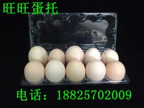 Manufacturers direct selling 10 small egg toilet egg plastic disposable plastic plastic green shell egg packaging box