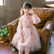 Girls Dress 2022 New Plush Girls Sweater Dress Winter Autumn Winter Skirt Autumn Children's Princess Dress