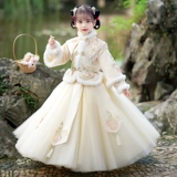 Утепленное демисезонное платье, ханьфу, зимняя юбка на девочку, наряд маленькой принцессы, детская одежда