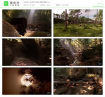 Dinosaurs in ancient forests HD video material